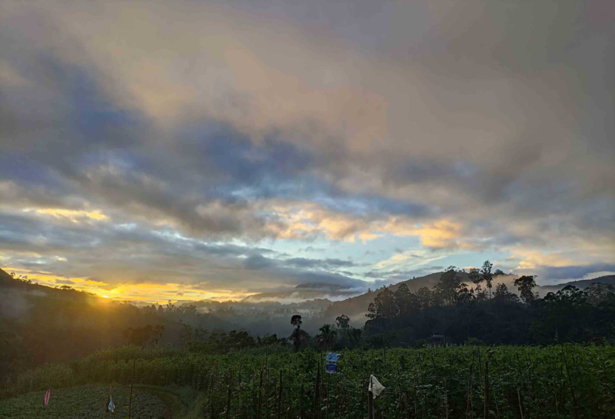 Nuwara Eliya